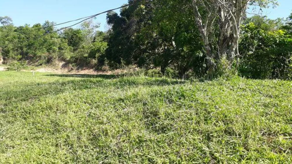 Terreno, 360 m² - Foto 5