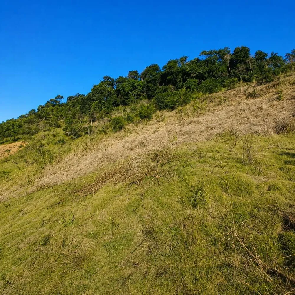Fazenda, 7 hectares - Foto 23