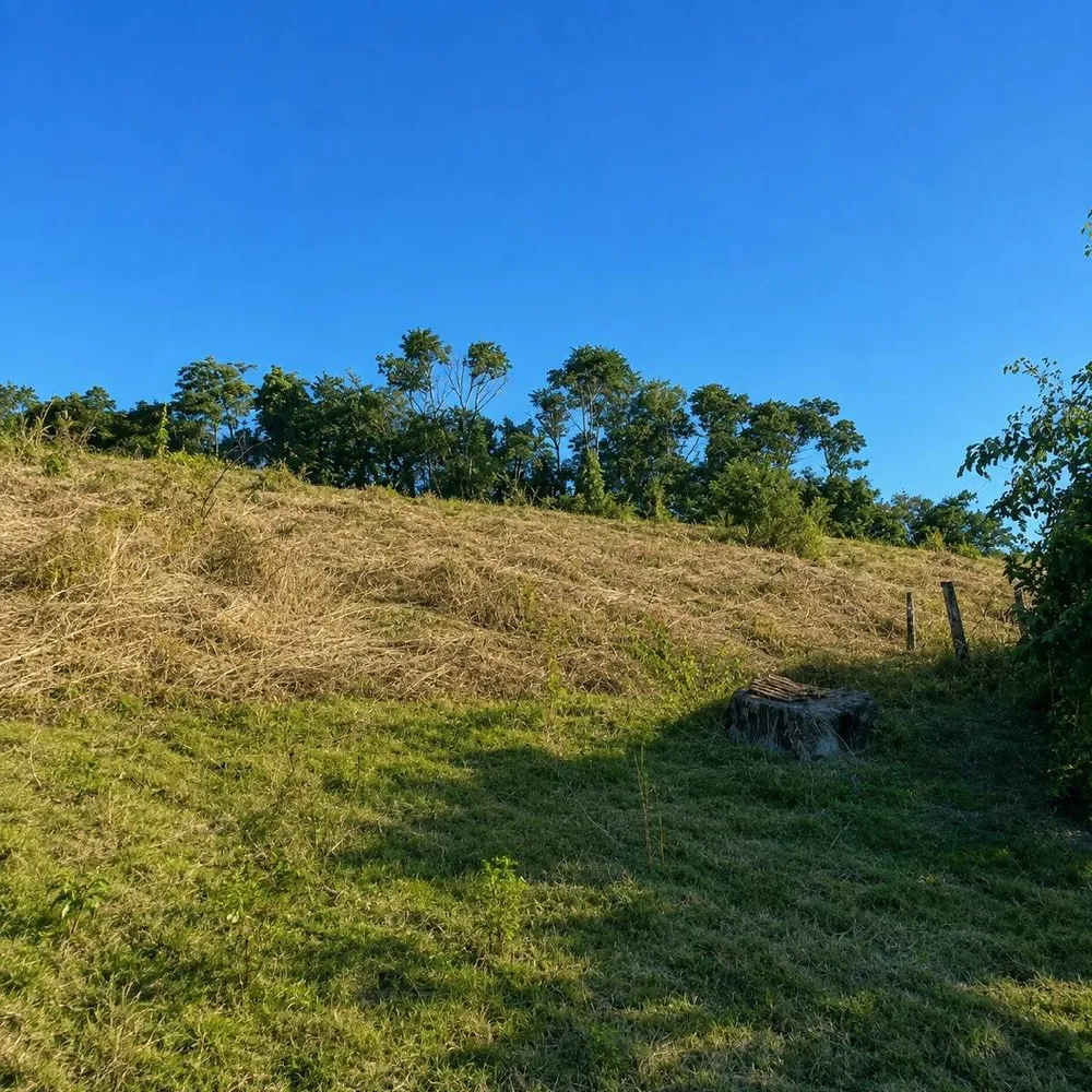 Fazenda, 7 hectares - Foto 22