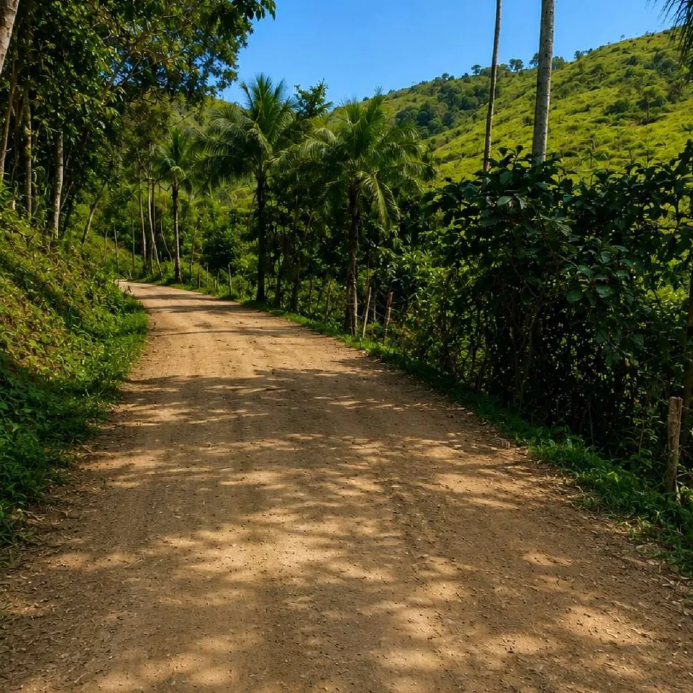 Fazenda, 7 hectares - Foto 14