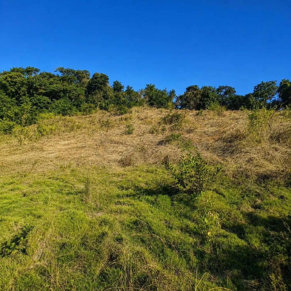 Fazenda, 7 hectares - Foto 21