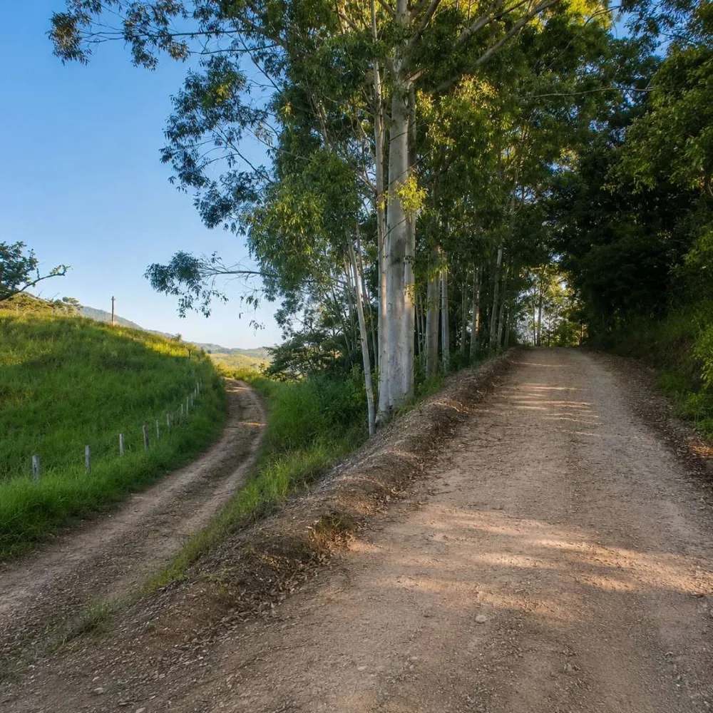 Fazenda, 7 hectares - Foto 31