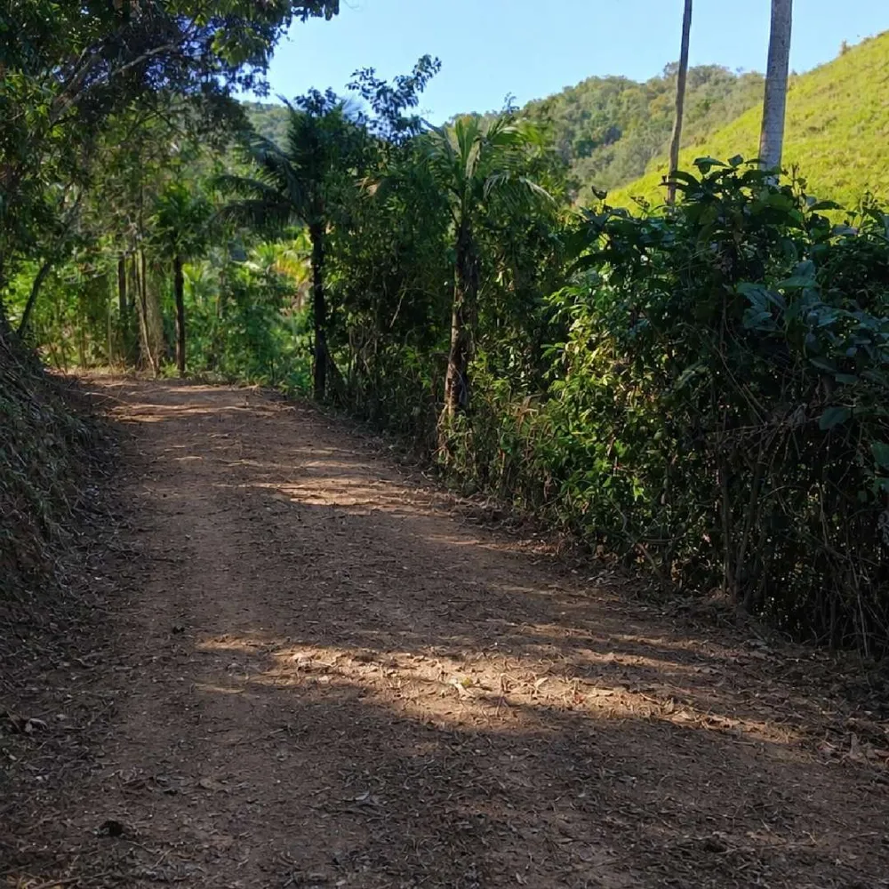 Fazenda, 7 hectares - Foto 4