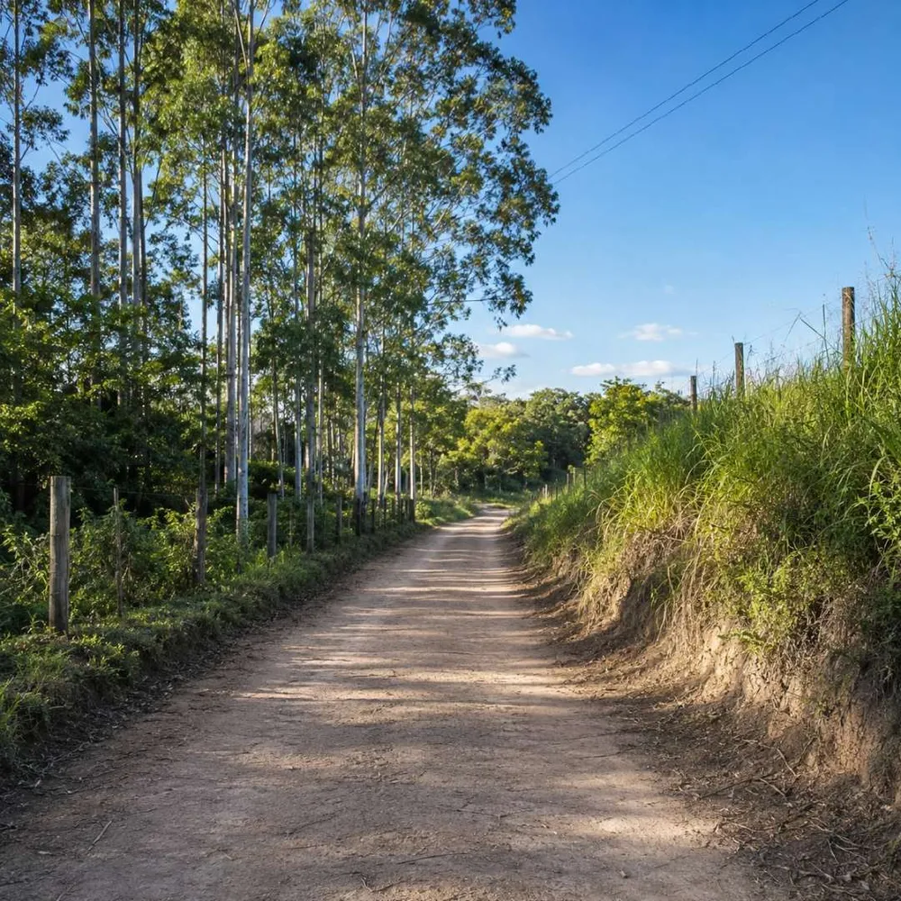 Fazenda, 7 hectares - Foto 32
