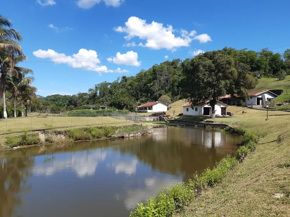 Sítio, 7 quartos, 5 hectares - Foto 15