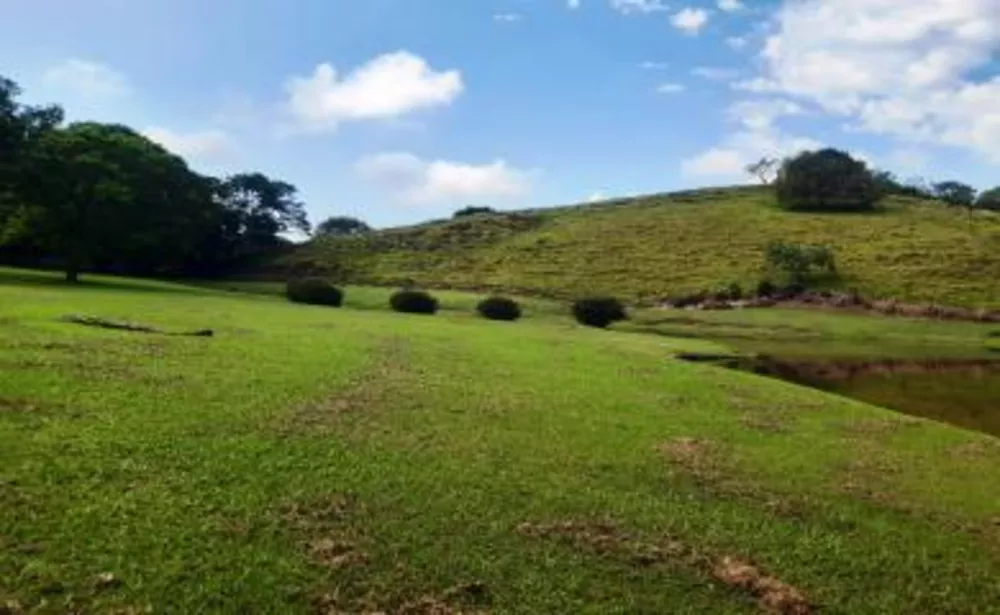 Sítio, 3 quartos, 19 hectares - Foto 19