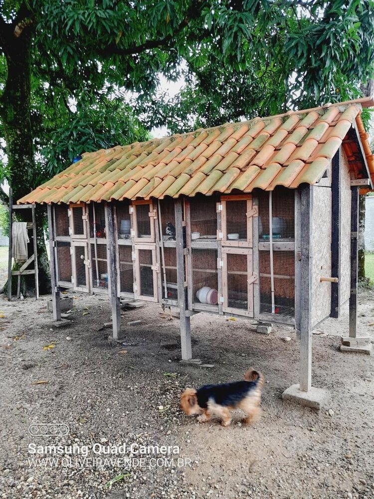 Sítio, 3 quartos, 2 hectares - Foto 18
