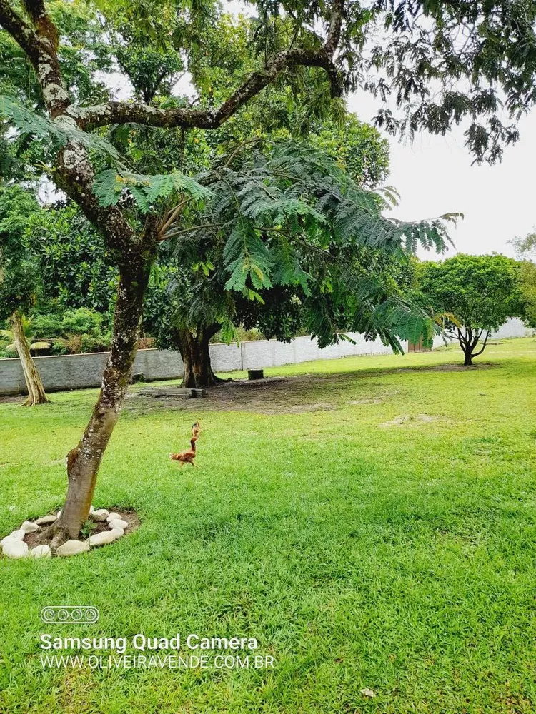 Sítio, 3 quartos, 2 hectares - Foto 12