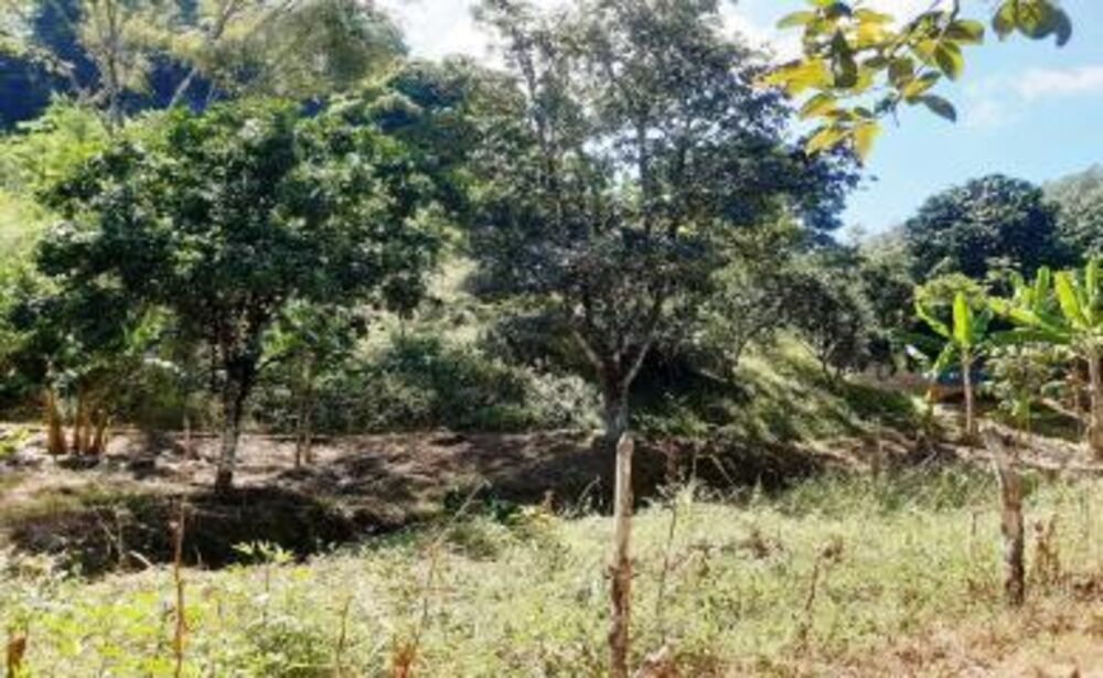 Sítio, 2 quartos, 18 hectares - Foto 6