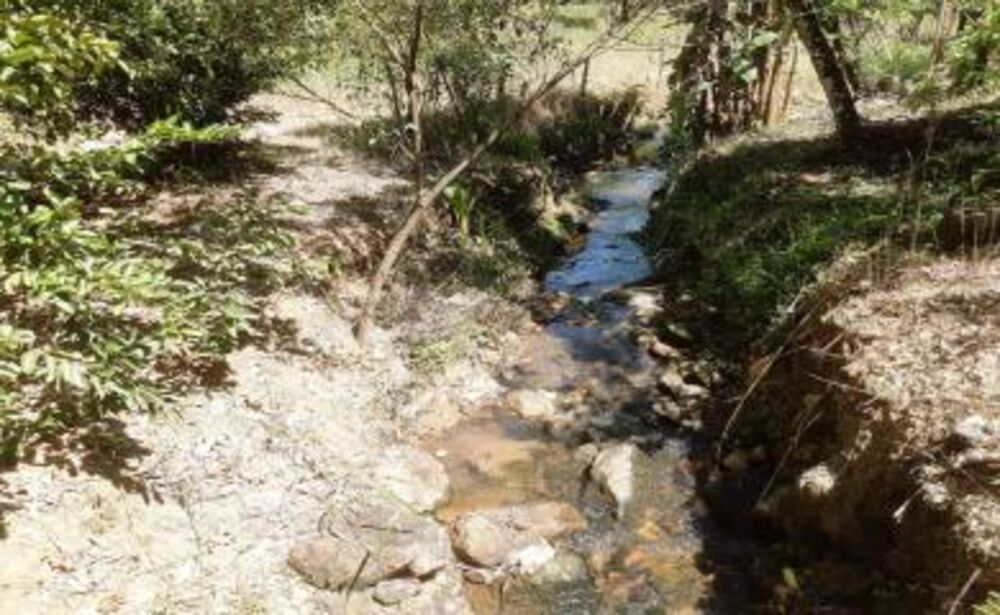 Sítio, 2 quartos, 18 hectares - Foto 7