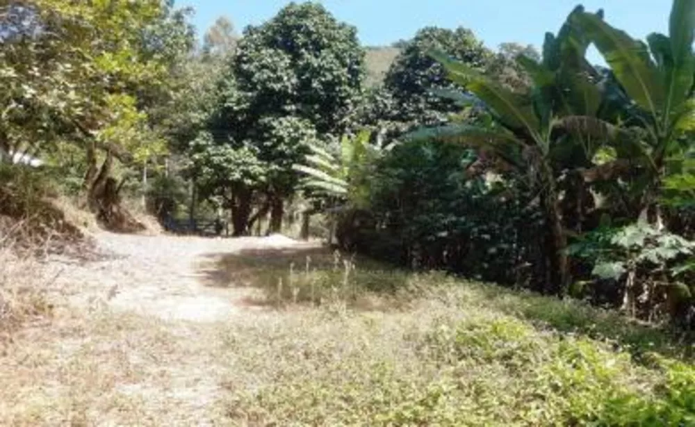 Sítio, 2 quartos, 18 hectares - Foto 10