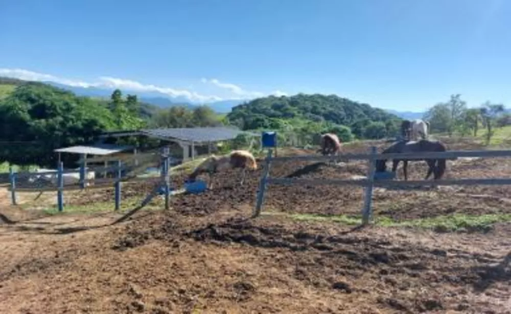 Sítio, 2 quartos, 18 m² - Foto 15