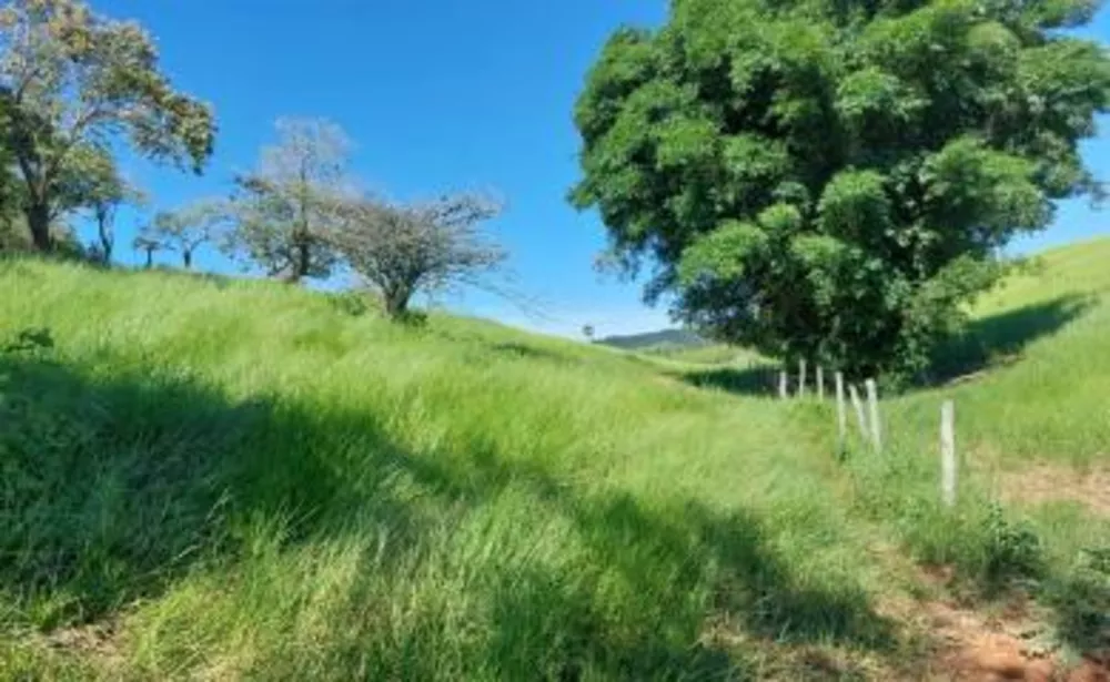 Sítio, 2 quartos, 18 m² - Foto 7