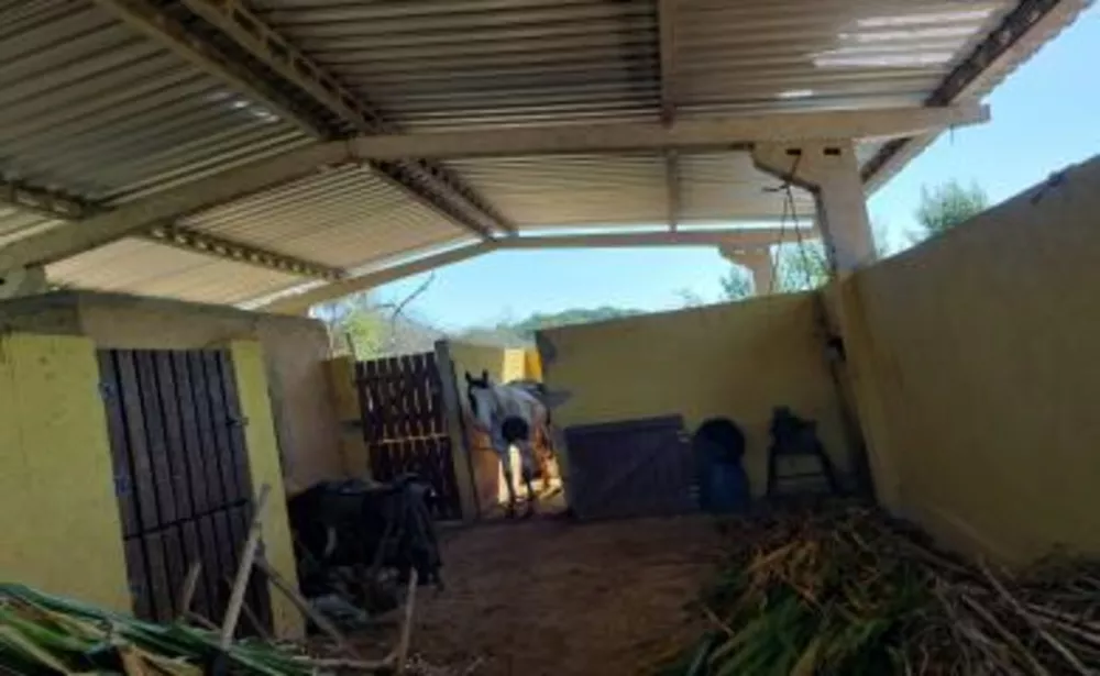 Sítio, 2 quartos, 18 m² - Foto 18