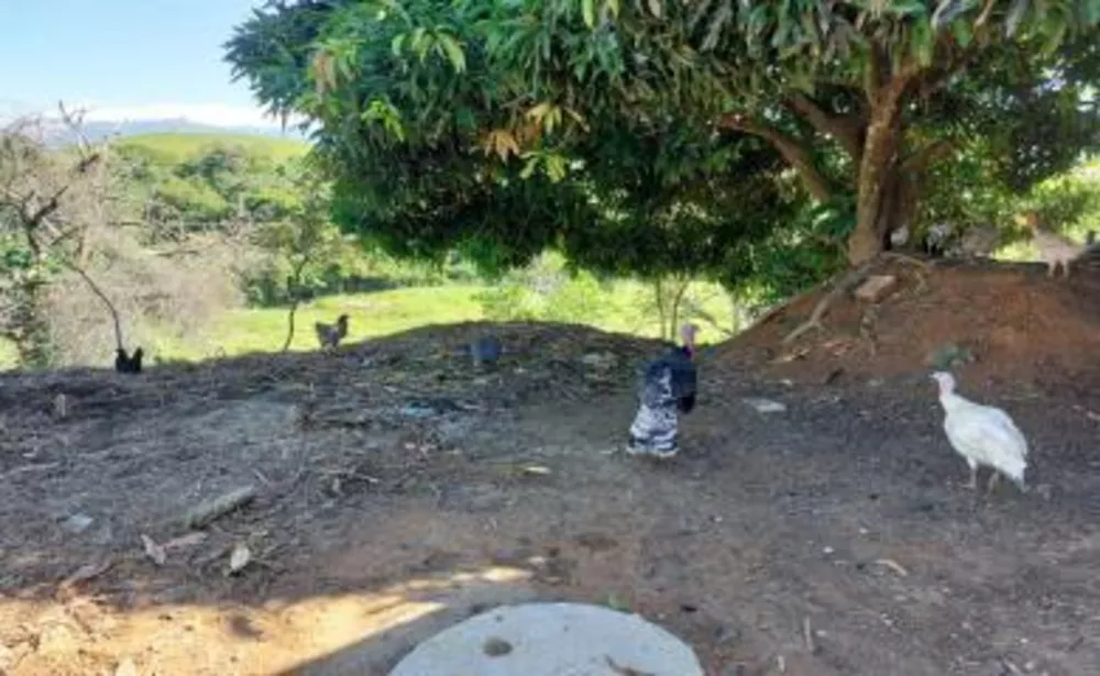 Sítio, 2 quartos, 18 m² - Foto 13