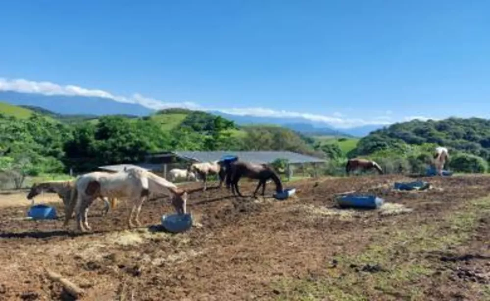 Sítio, 2 quartos, 18 m² - Foto 14