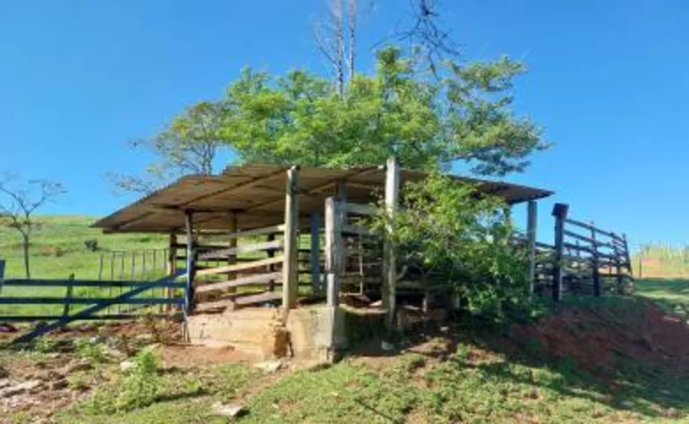 Sítio, 2 quartos, 18 m² - Foto 16
