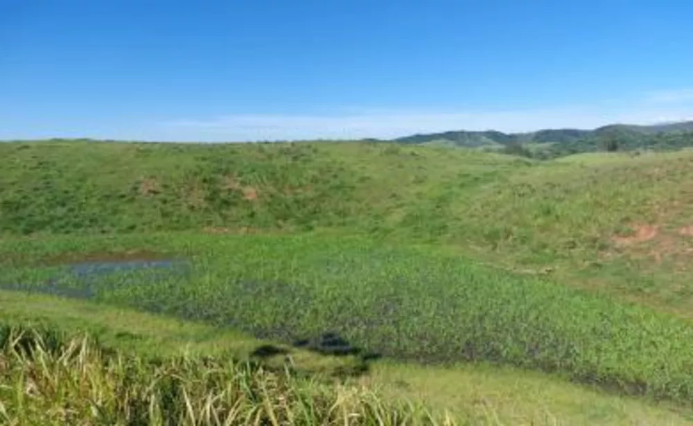 Sítio, 2 quartos, 18 m² - Foto 5