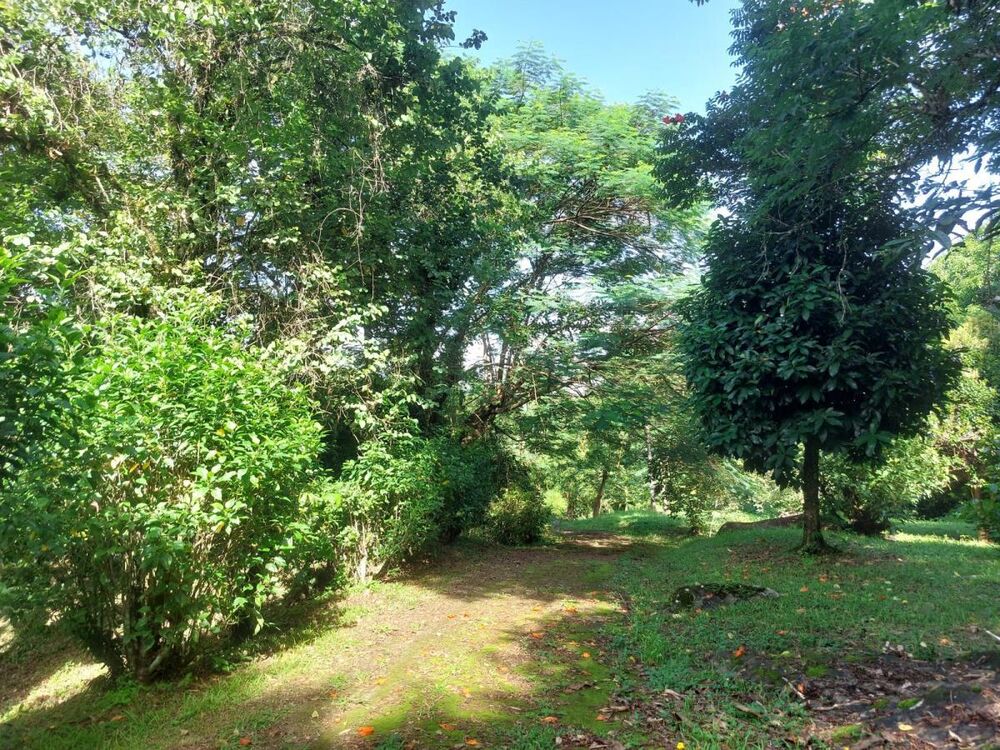 Chácara à venda com 3 quartos, 68000m² - Foto 6