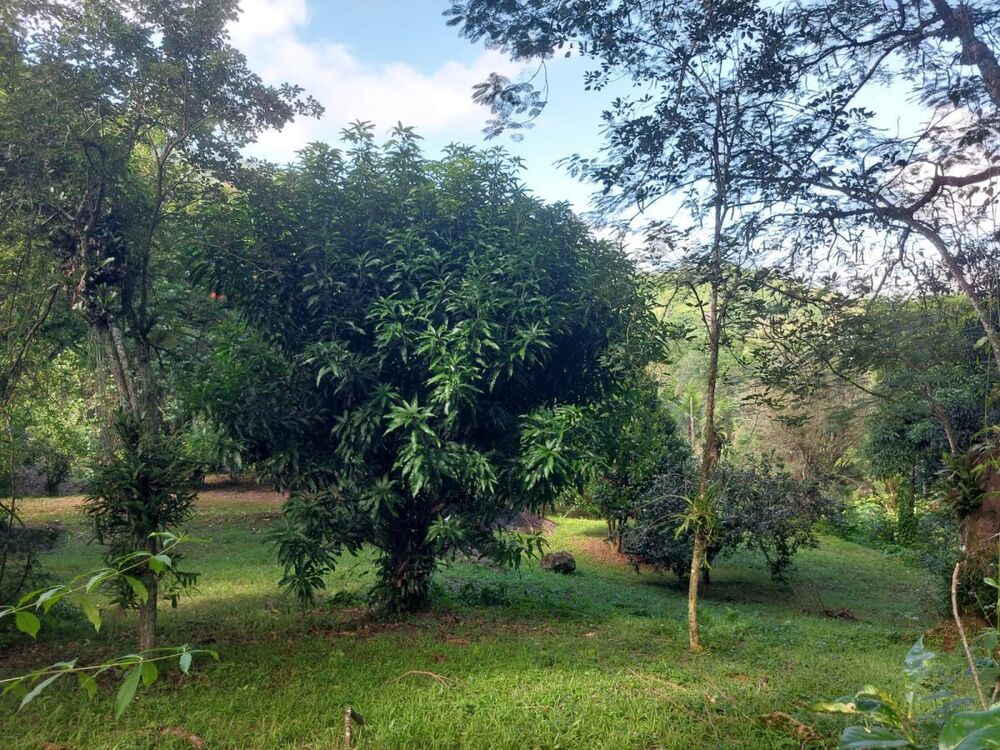 Chácara à venda com 3 quartos, 68000m² - Foto 9