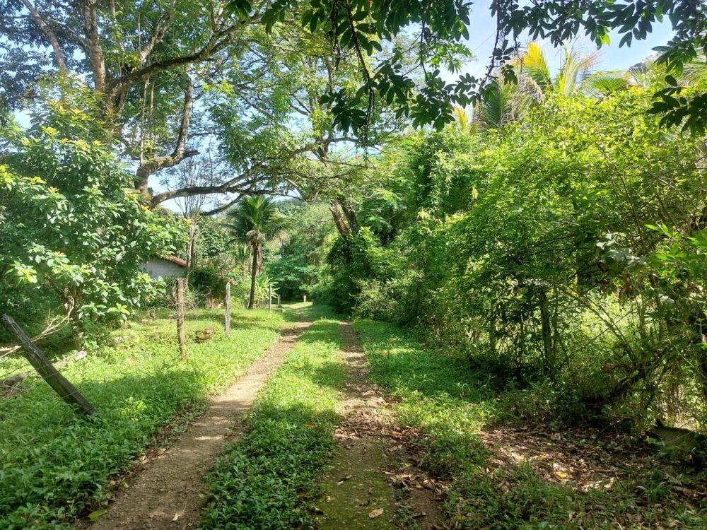 Chácara à venda com 3 quartos, 68000m² - Foto 5