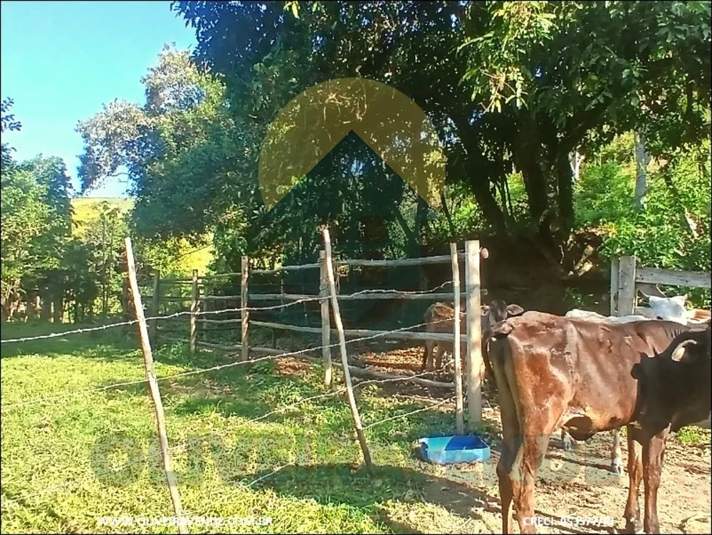 Sítio, 2 quartos, 14 m² - Foto 14