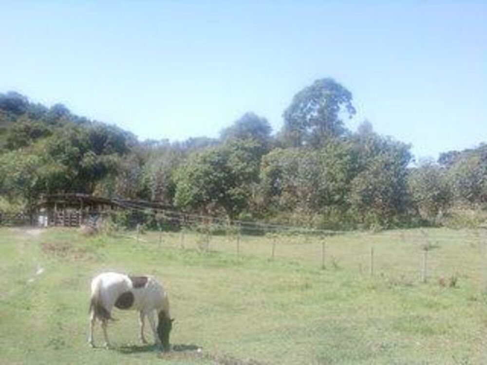 Sítio, 5 quartos, 24 hectares - Foto 26