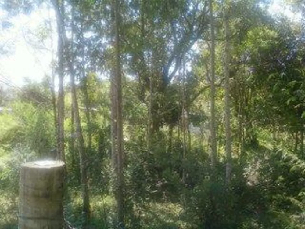 Sítio, 5 quartos, 24 hectares - Foto 28