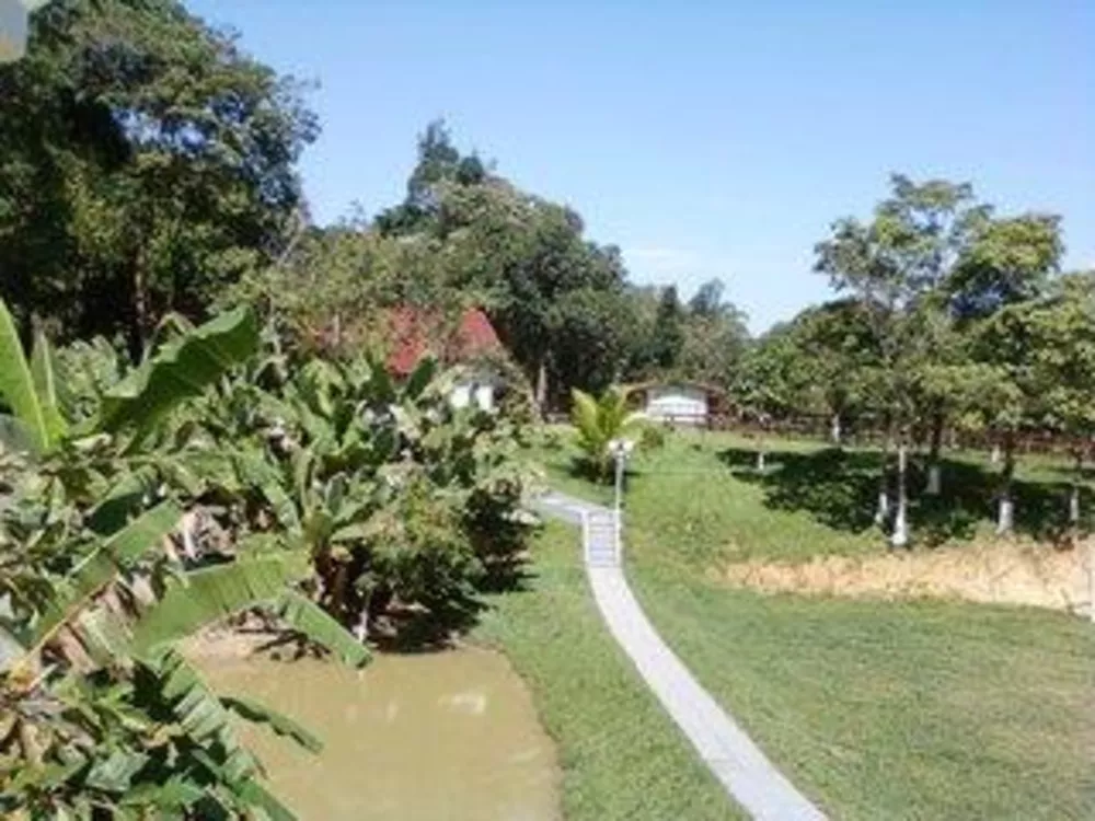 Sítio, 5 quartos, 24 hectares - Foto 3