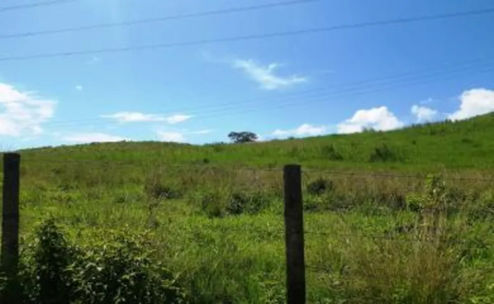 Sítio, 5 quartos, 33 hectares - Foto 13
