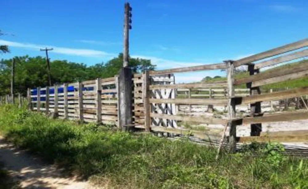 Sítio, 5 quartos, 33 hectares - Foto 7