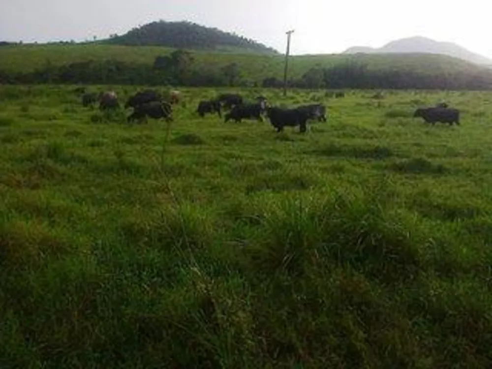 Fazenda, 140 m² - Foto 16