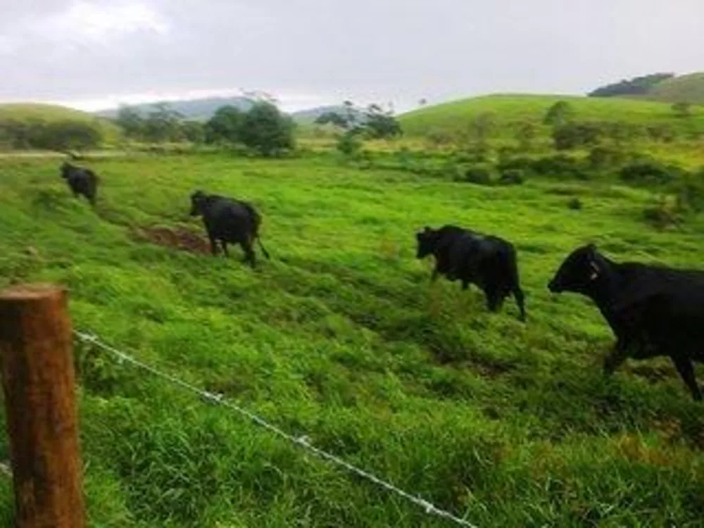 Fazenda, 140 m² - Foto 6