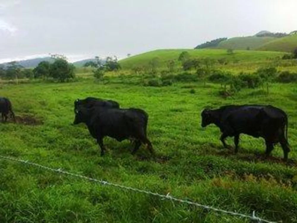 Fazenda, 140 m² - Foto 8