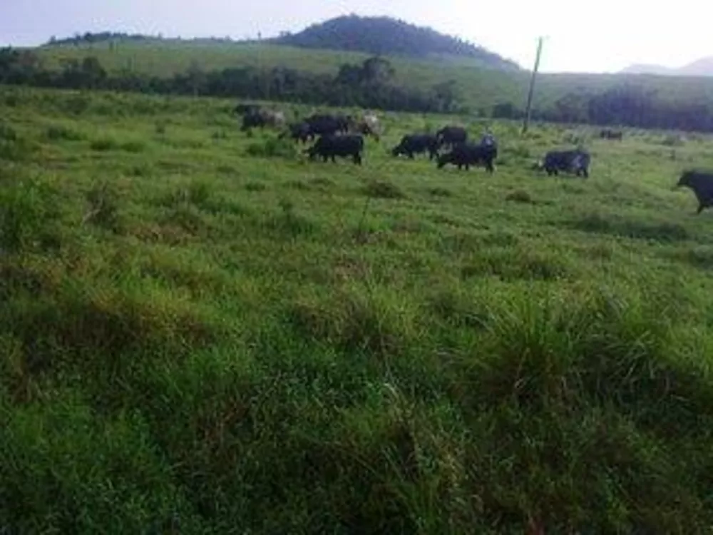Fazenda, 140 m² - Foto 11