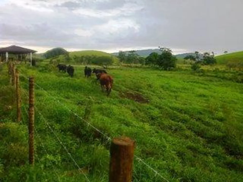 Fazenda, 140 m² - Foto 7