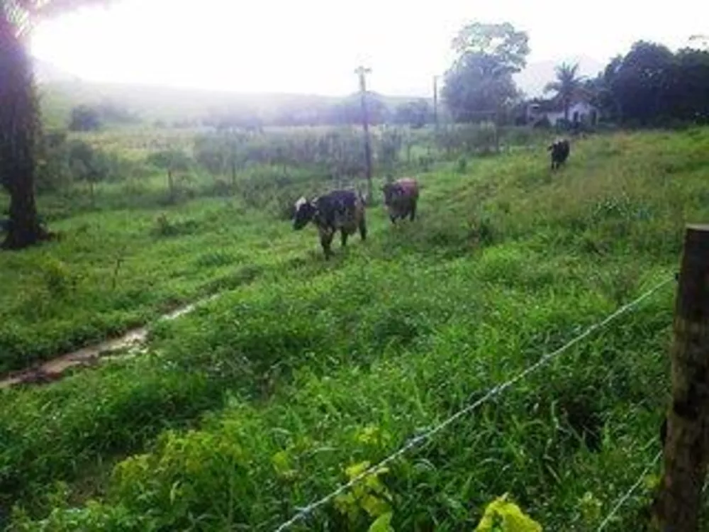 Fazenda, 140 m² - Foto 18