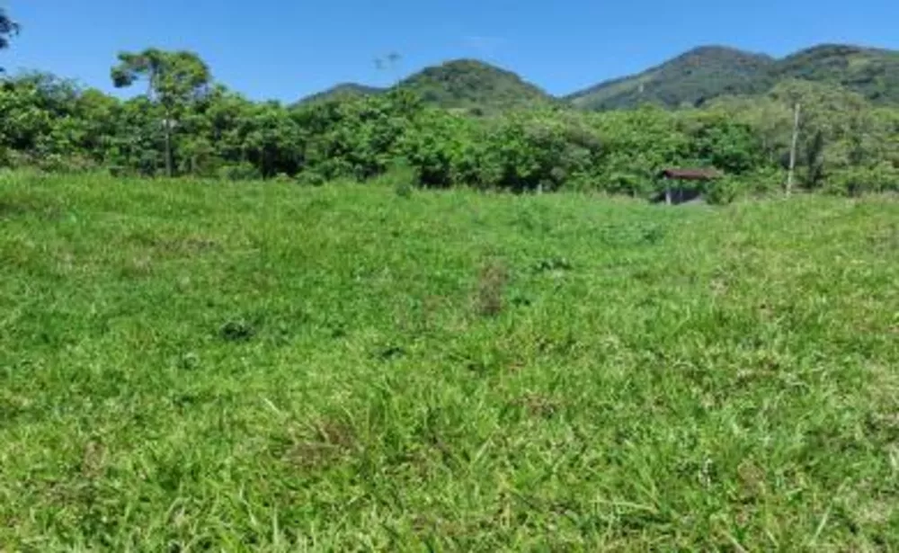 Sítio, 3 quartos, 3 hectares - Foto 4