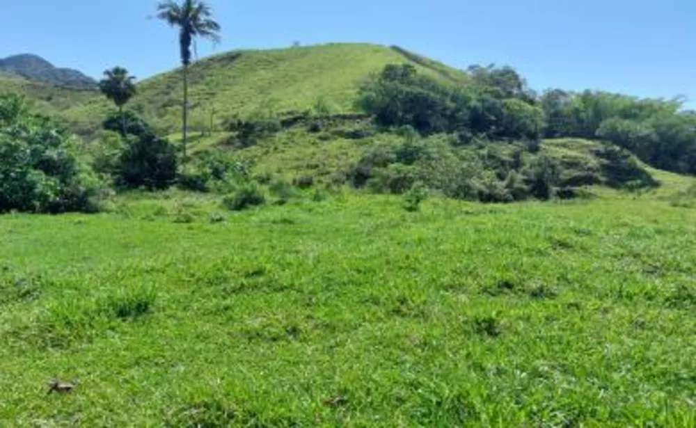 Sítio, 3 quartos, 3 hectares - Foto 7