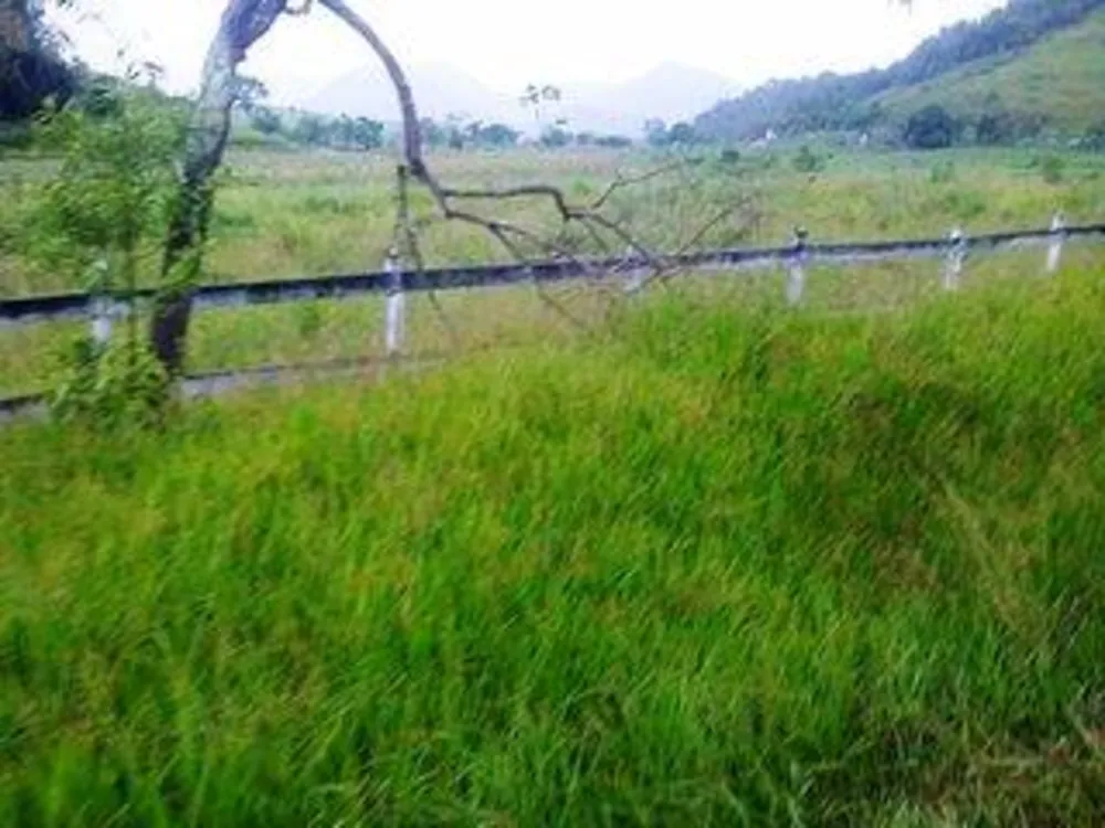 Fazenda, 140 m² - Foto 10