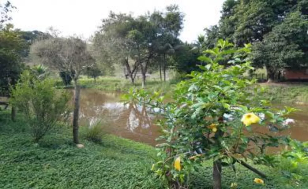 Fazenda à venda com 2 quartos, 45000m² - Foto 6