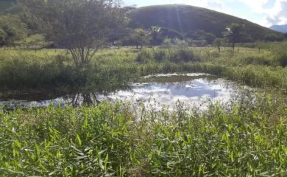 Fazenda à venda com 2 quartos, 45000m² - Foto 13