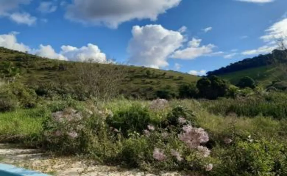 Fazenda à venda com 2 quartos, 45000m² - Foto 17