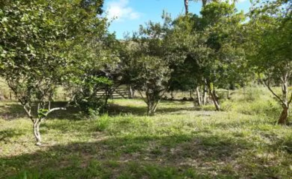 Fazenda à venda com 2 quartos, 45000m² - Foto 15