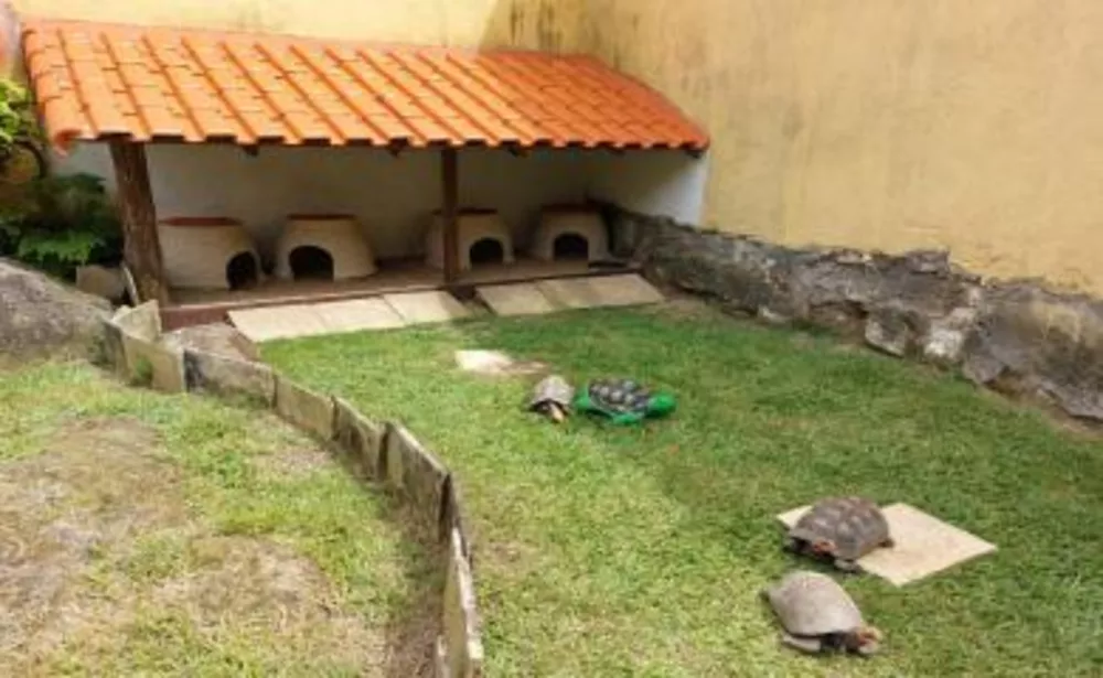 Chácara, 2 quartos, 800 m² - Foto 4