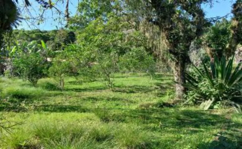 Sítio, 2 quartos, 2 hectares - Foto 13