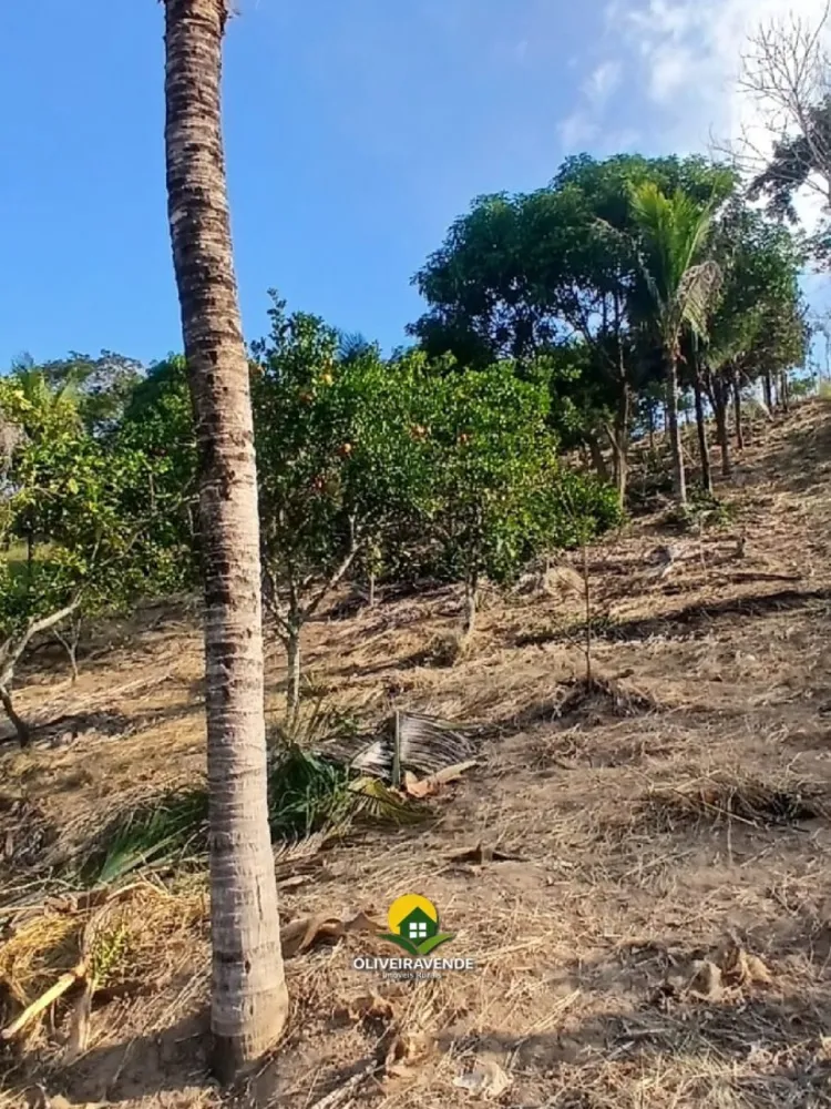 Chácara, 2 quartos, 3200 m² - Foto 32