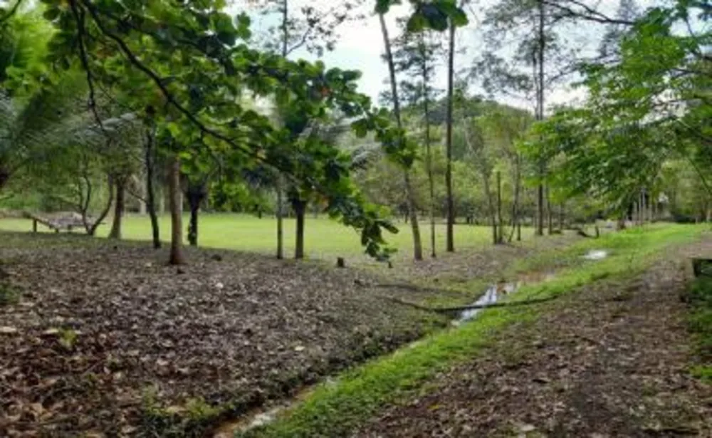 Sítio, 3 quartos, 19 hectares - Foto 15