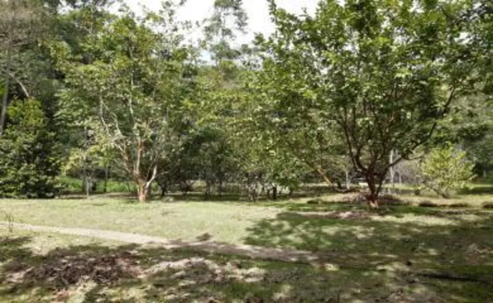 Sítio, 3 quartos, 19 hectares - Foto 19