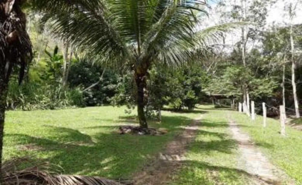 Sítio, 3 quartos, 19 hectares - Foto 25